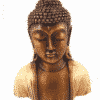 Buddha-cream-20cm-Yoga-Gangeya