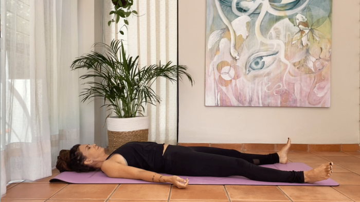 yoga nidra yoga sleep meditation online free yoga videos.